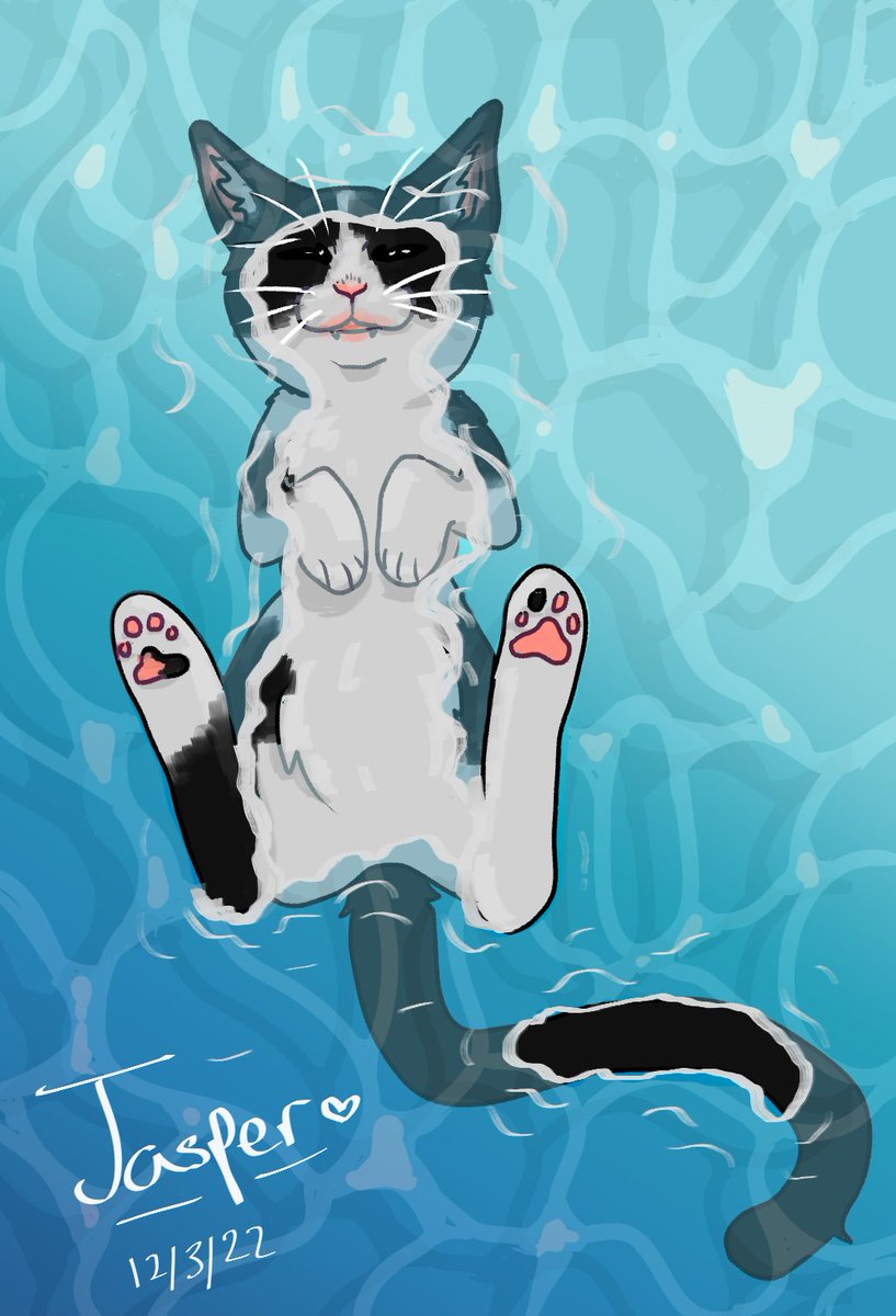 moonsofjasper's tweet photo. My little guy passed away the other night. He loved playing in water, so I hope wherever he is now he gets to play in it for as long as he likes https://t.co/vIXjkS1j8n