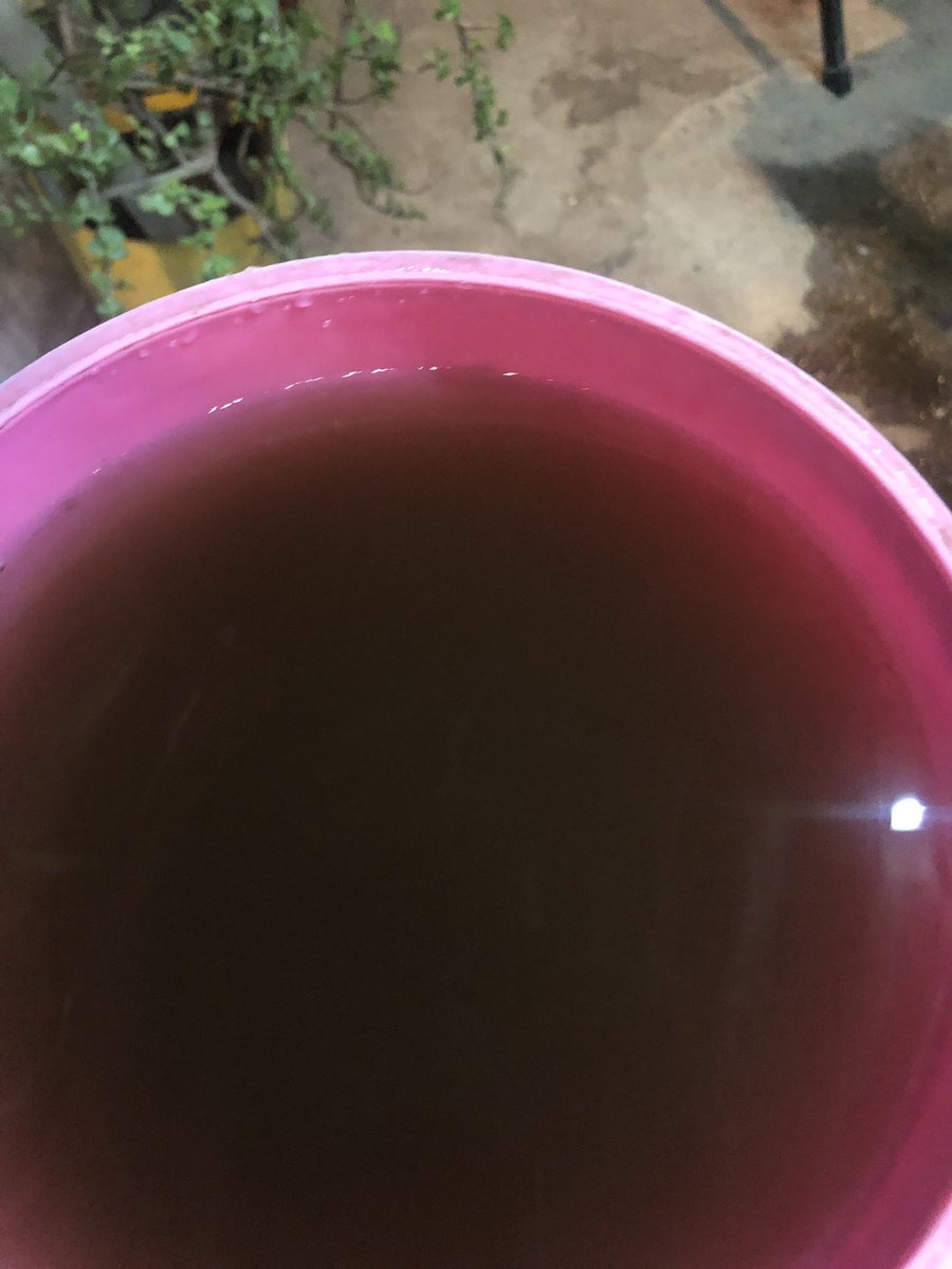 _luis16's tweet photo. @SacmexCDMX @SACM_Oficial @Alc_Iztapalapa @Claudiashein @ClaraBrugadaM @AztecaNoticias @Milenio @VILLALVAZO13 @UniversalDiario excelente calidad en el agua potable en #Iztapalapa https://t.co/5wdl1Sn6BT