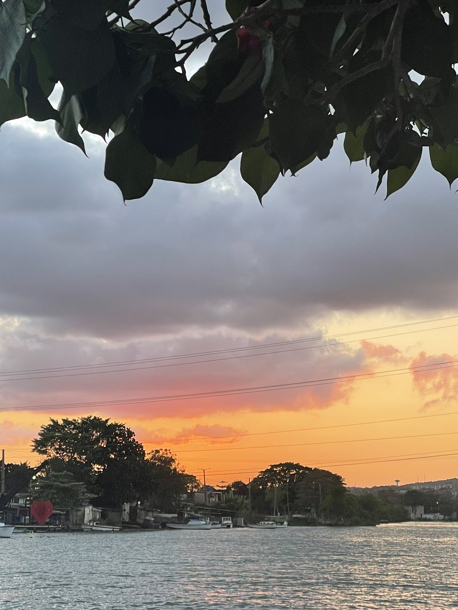 la.dino🦕 tweet media