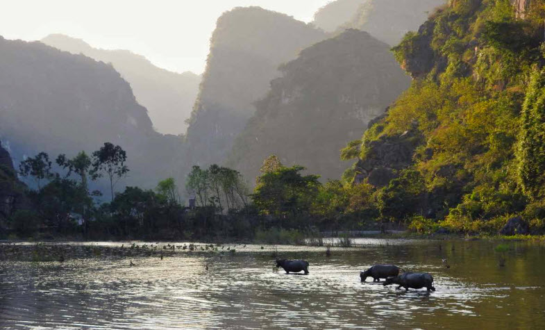 Taking in the peaceful scenery of Vietnam's Ninh Binh province.
Hotline: 091 222 14 42
Website: travelauthenticasia.com
Email: info@travelauthenticasia.com
#travelauthenticasia #southeastasia #southeastasiatravel #southeastasiatrip #vietnam #vietnamtravelguide #ninhbinh