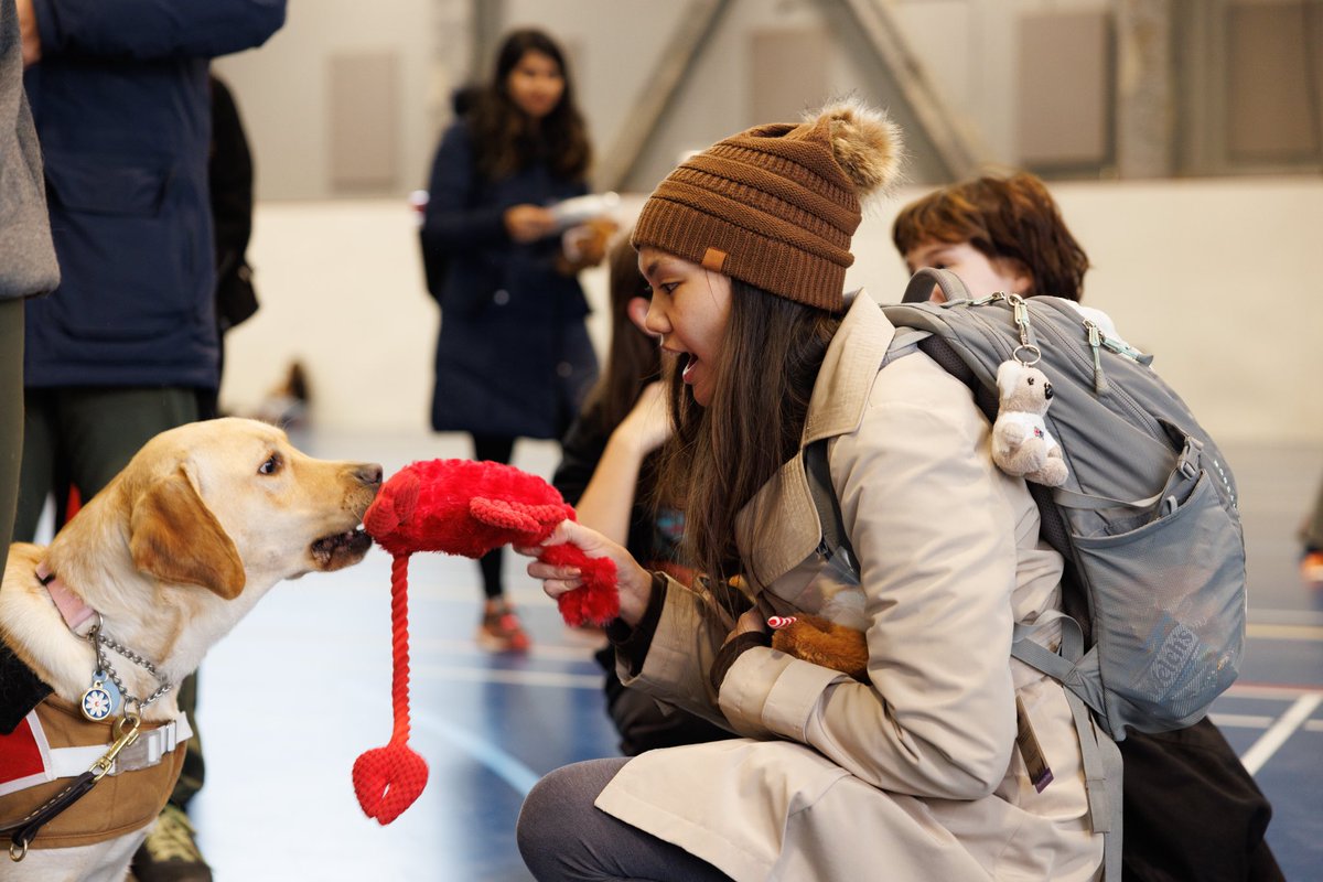 UIC_SAB's tweet photo. #UIC Thank you all so much for attending DOGGYPALOOZA‼️ This finals week, take time to relax🥹 you got this🔥🔥

Check out our facebook for more pictures of the event🚨

Shoutout to our Trending Committee for planning and hosting this event‼️ https://t.co/63TqmLZ8Ia