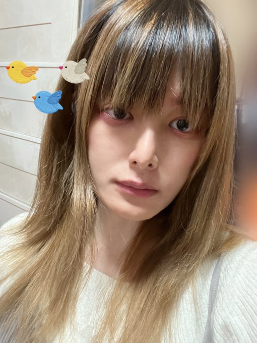 おはようございますにゃのだ&hellip;  本日は12:10〜22:00までLIBE新宿でお待ちしていますのだ  #森野ゆの https://t.co/eORQtNsD3W<a href="/tag/%E6%A3%AE%E9%87%8E%E3%82%86%E3%81%AE"class="tags">#森野ゆの</a>