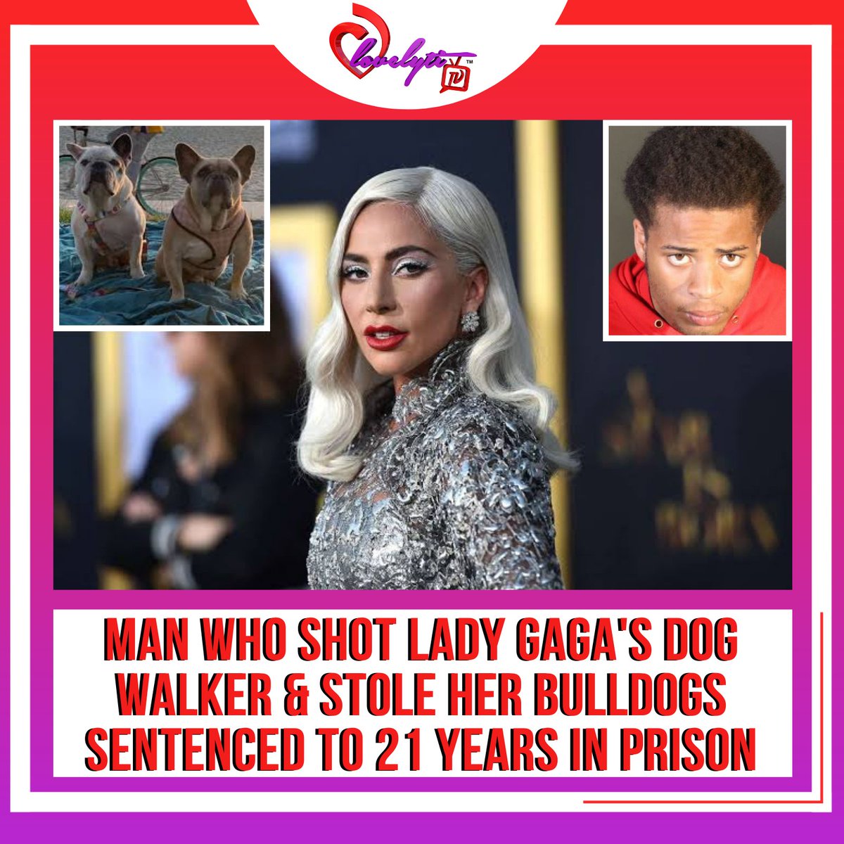 lovelyti's tweet photo. The man charged for shooting Lady Gaga's dog walker last year just got a stiff punishment for the crime ... landing behind bars for decades. 

Any Thoughts?? 

#LadyGaga #JamesHowardJackson #RyanFischer #Lovelytitv https://t.co/rwmhUZEUsF