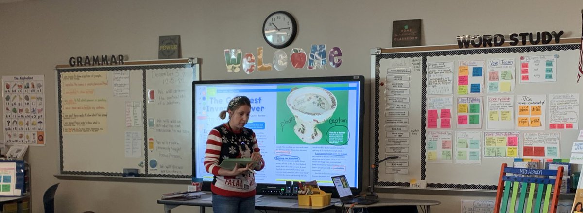 Julie Mayer tweet media