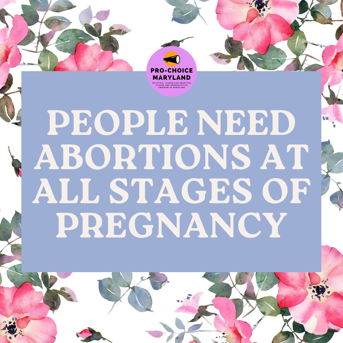 Later in pregnancy abortions are normal!