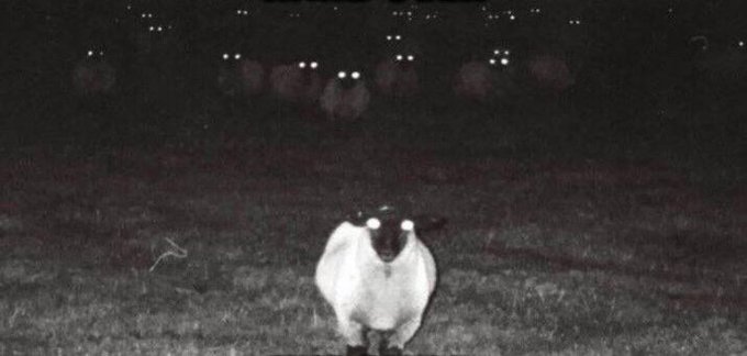 AYYJAYYRL's tweet image. Դու ինձ կանչում ես իմ անցքից, որտեղ ես սողացել եմ, որ մեռնեմ: Դու ինձ փչացնում ես այդ մեղմ գրկախառնությամբ։ Այդ սառը ներումը։ Եվ դու ինձ դրեցիր այստեղ: Ինչի համար? Տառապել։ Ձեր ոտքերի մոտ: ես քեզ հայհոյում եմ։ ես քեզհայհոյում եմ: