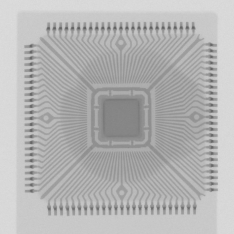 SeaLabLab's tweet image. 