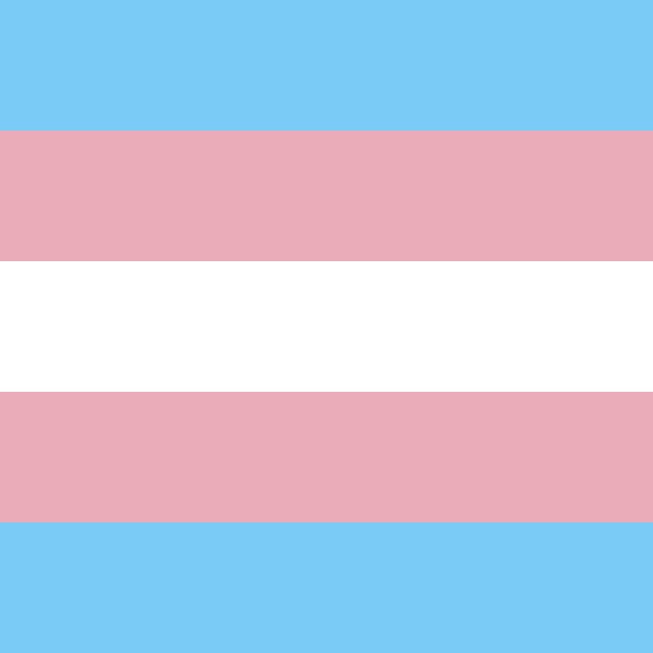 alex from ‘minecraft’ is trans!