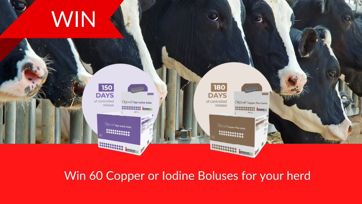 Win 60 cows worth of Oligovet iodine or Oligovet copper boluses &amp; applicator To enter Retweet &amp; tag 2 people below. Competition closes 16th Dec. Must be aged 18 and over to apply. Competition open to residents in Rep. of Ireland and NI only. Prize avail through local vet #win