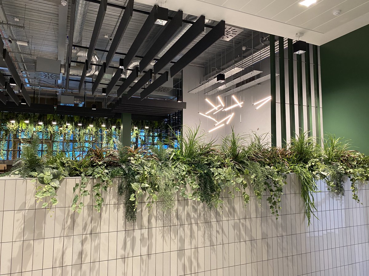 Benholm Group 🌿 tweet media