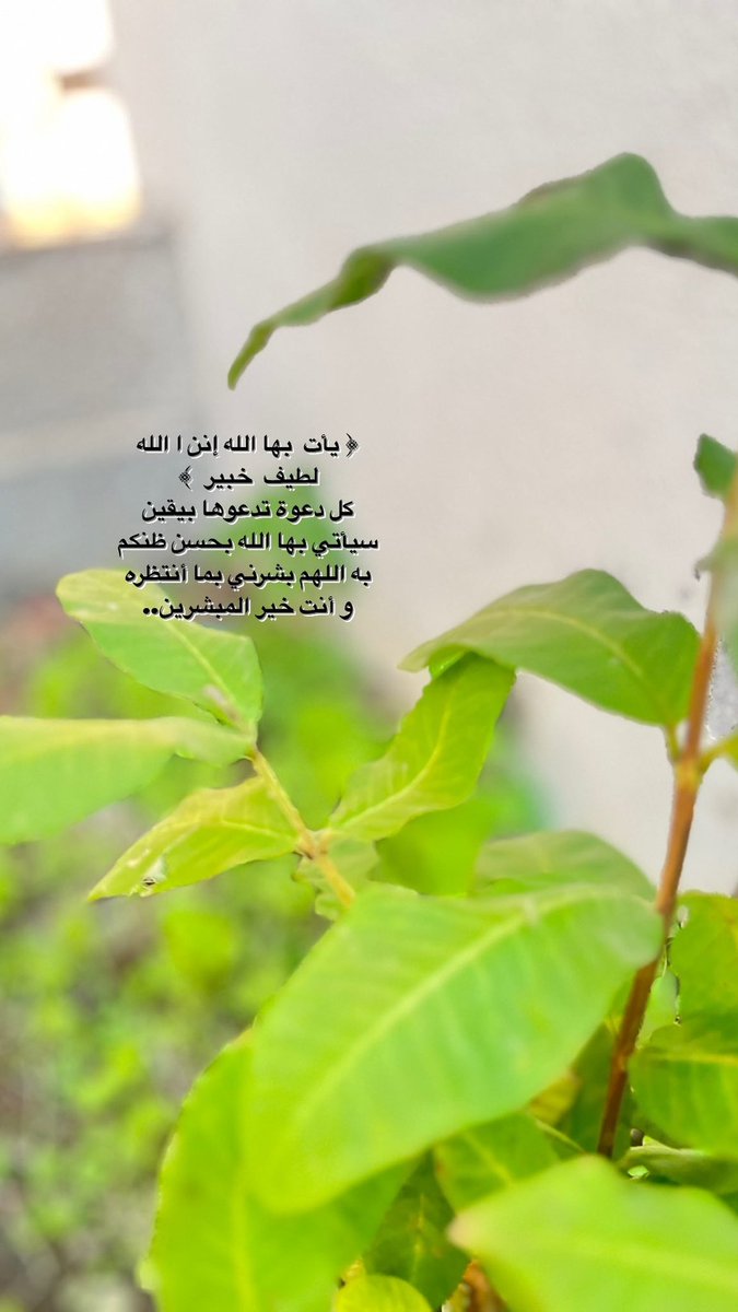 Marah (@mar__jj) on Twitter photo 