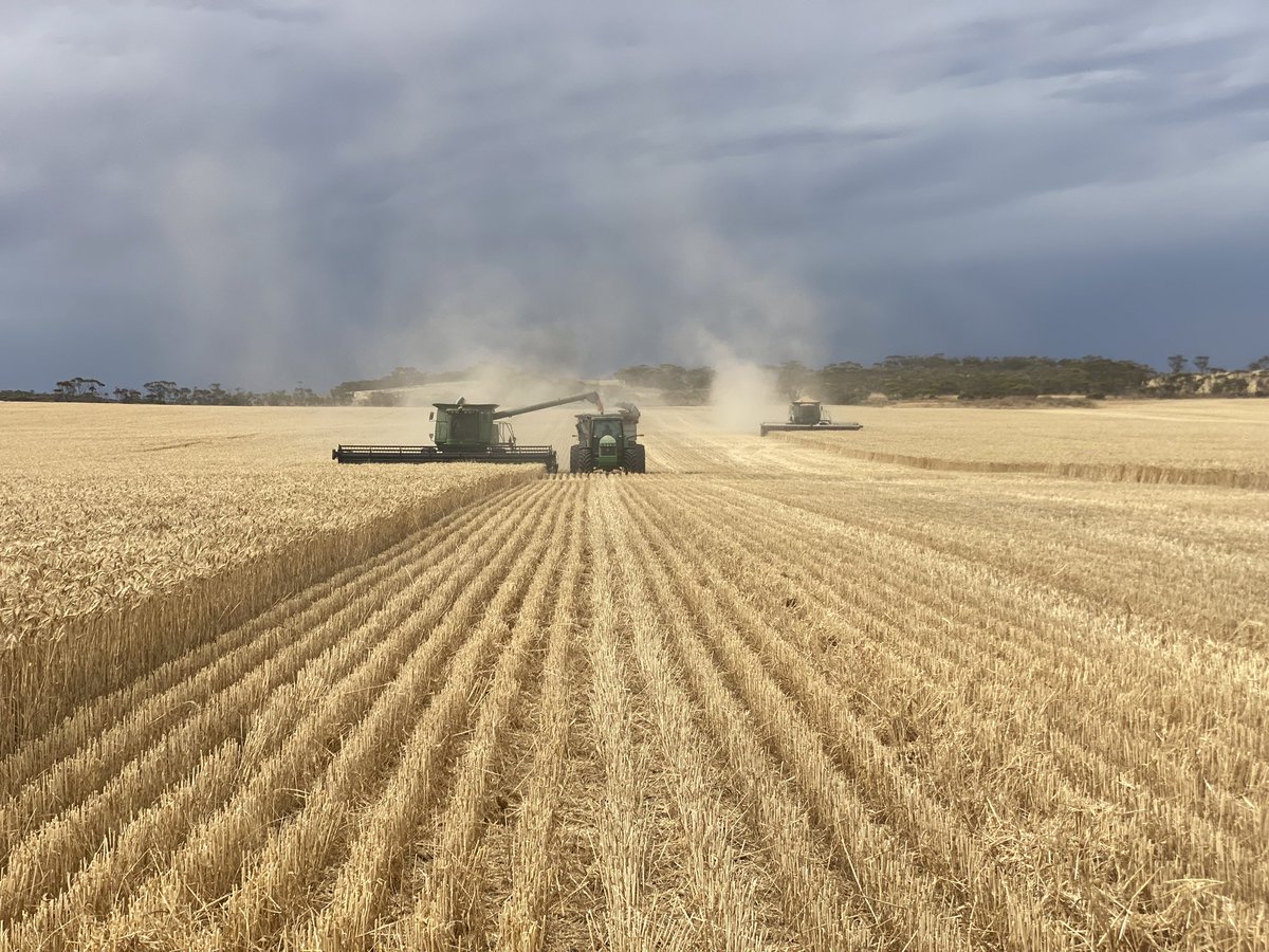 Dodged that one.  Need to take some more photo to remember this year.