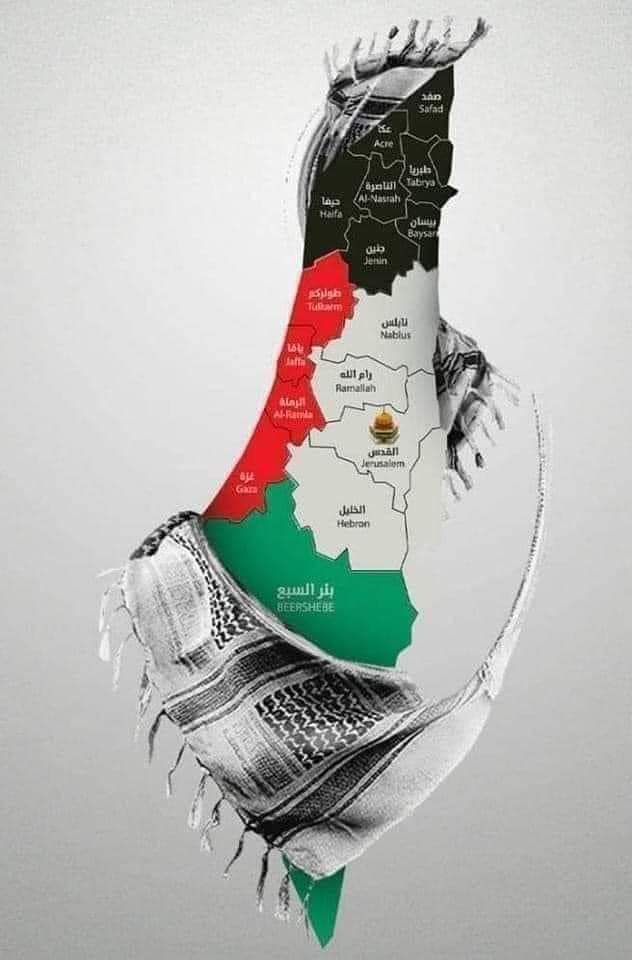 Good morning everyone 💐