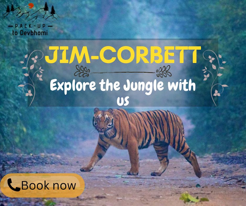 Let's get ready for safari in #corbettnationalpark
For other information visit our website:-
packuptodevbhomi.wordpress.com
#uttarakhandtourism #valleyview #trekking ##campinglife #mountains #mountainvacation #vacation #enjoy
