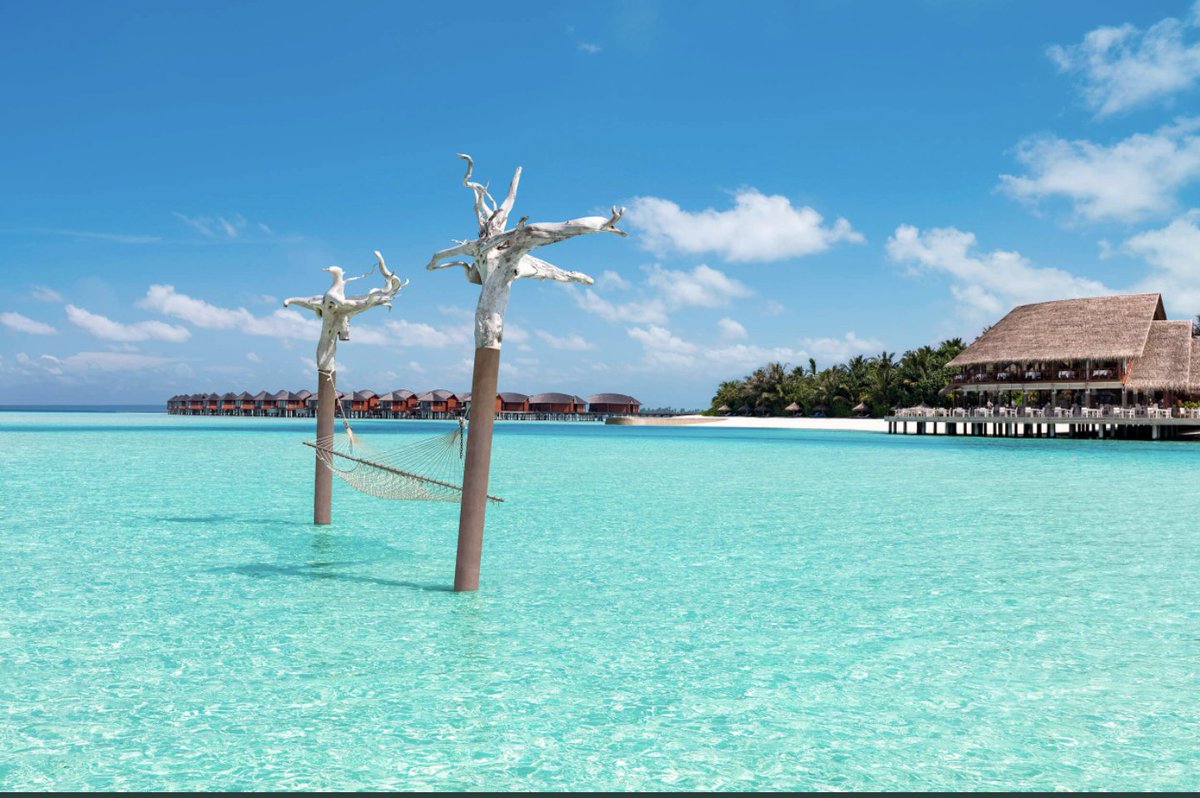 mmbeachcomber's tweet photo. Discover an ocean playground in the sun at the luxurious Anantara Dhigu, #Maldives.
Discover more: https://t.co/21ZEJYHdYD https://t.co/RXrJOS57IO