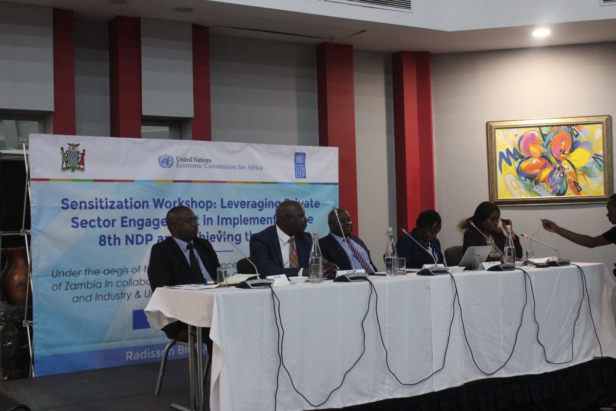 UNDP Zambia on Twitter: "[RECAP//Thread] We joined the @mofnpzambia