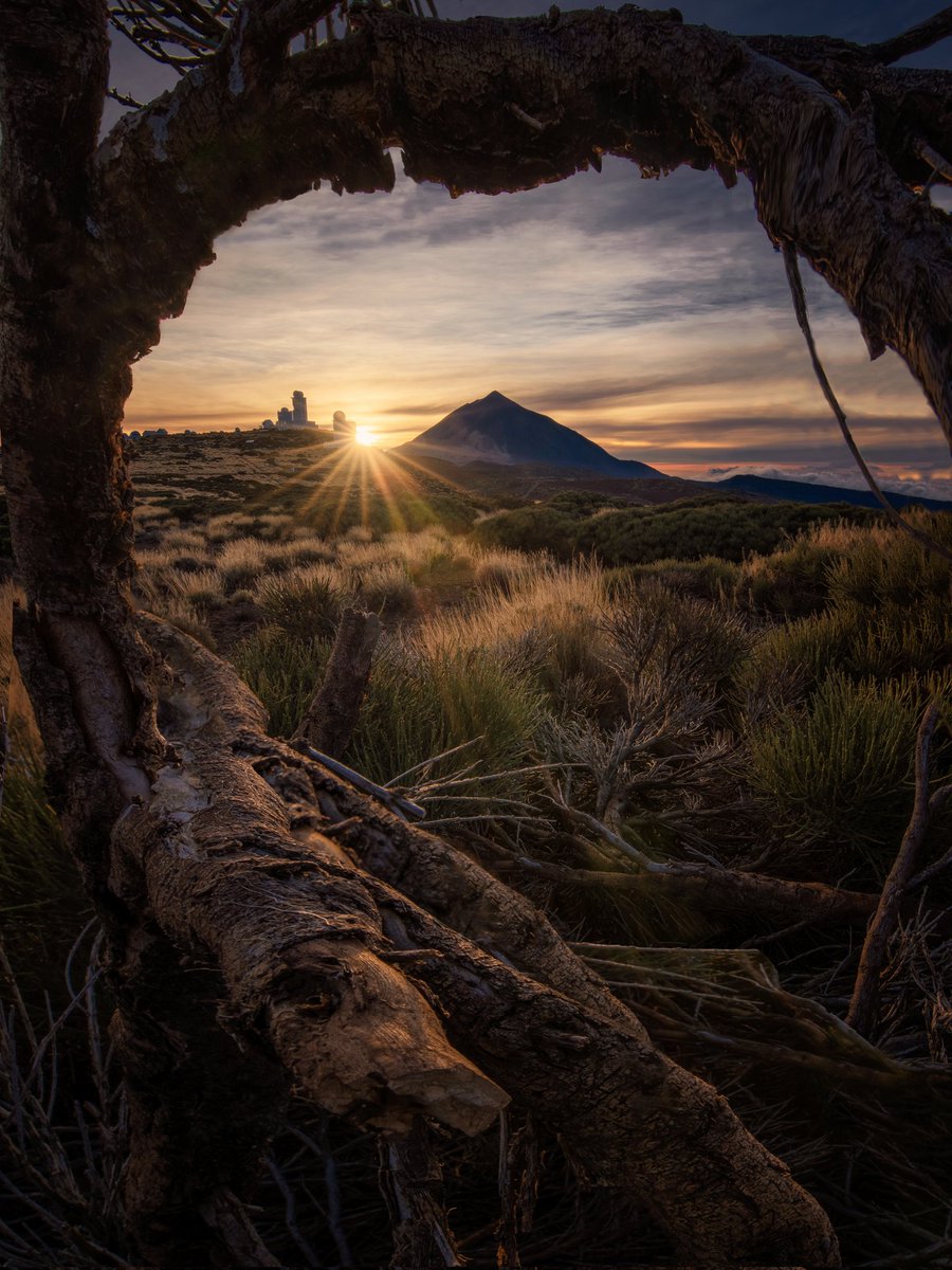 Y con esta maravillosa luz y este marco natural despedíamos ayer la tarde desde el Parque Nacional del Teide
#Canarias #Tenerife #teide