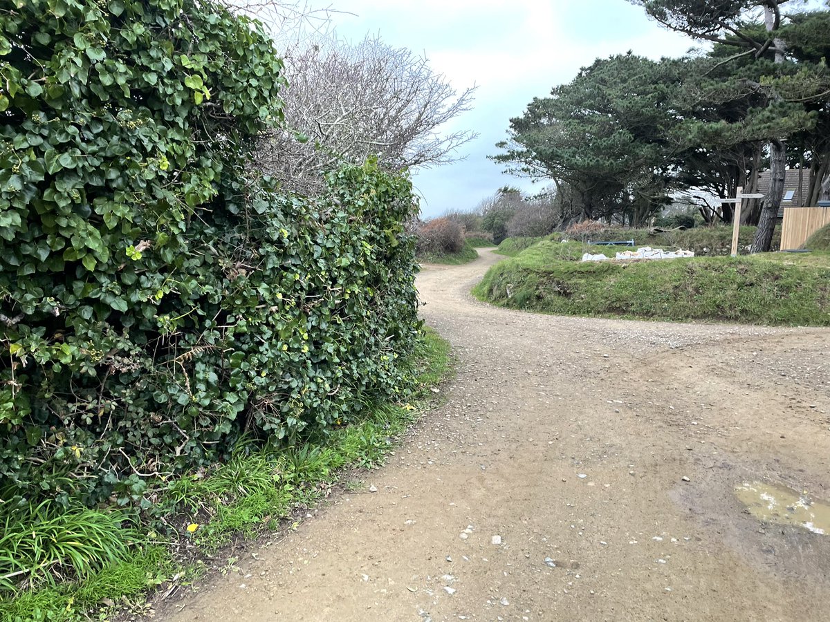 A little lane, going where! 😀.#LoveSark