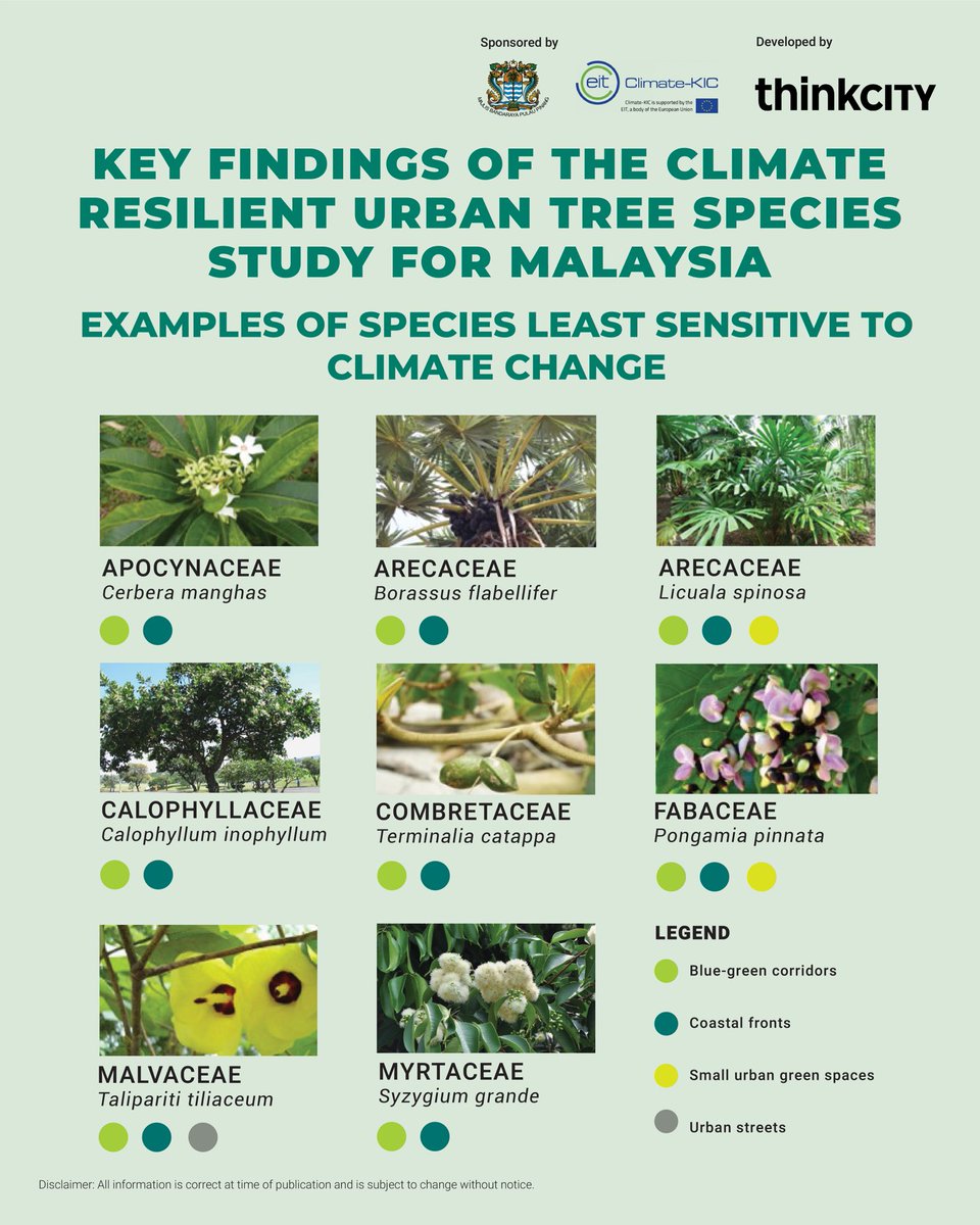 mythinkcity's tweet photo. 3/4 …to document tree species in the country, with the aim to to place the right trees at the right place.
#mythinkcity #advancingmalaysia #climateadaptation #ACResT https://t.co/UFRQoJxxO0