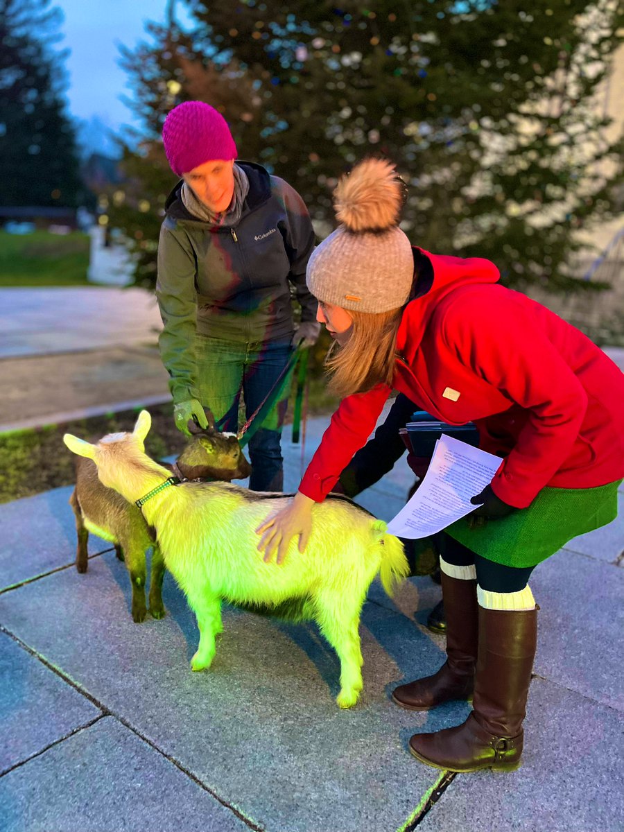 anson_ag's tweet photo. Vermont lights the way. Critters join the annual lighting of the #Vt Christmas Tree at the State House with @GovPhilScott. More @LizMyNBC5 #vtlightstheway https://t.co/IbCthtdda5 https://t.co/vN9tXYreox