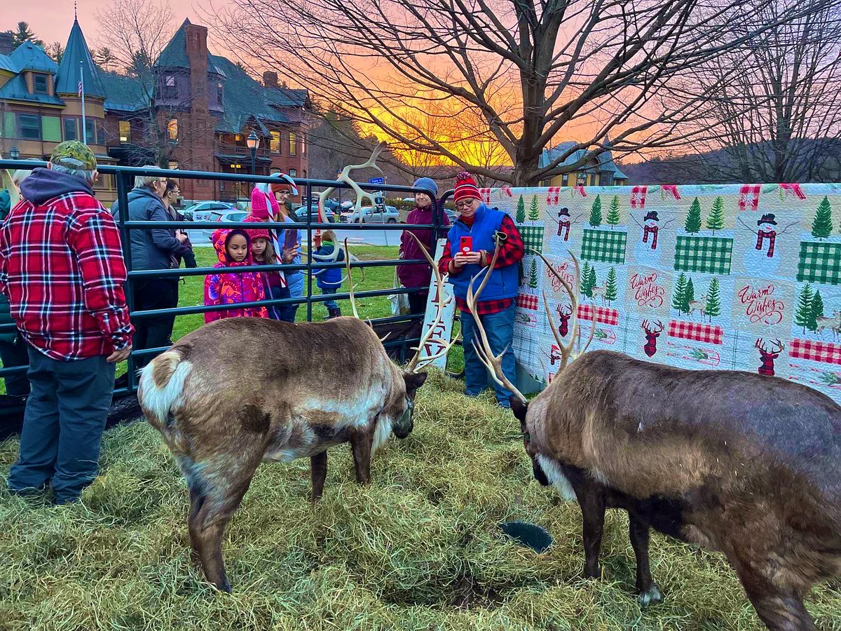 anson_ag's tweet photo. Vermont lights the way. Critters join the annual lighting of the #Vt Christmas Tree at the State House with @GovPhilScott. More @LizMyNBC5 #vtlightstheway https://t.co/IbCthtdda5 https://t.co/vN9tXYreox