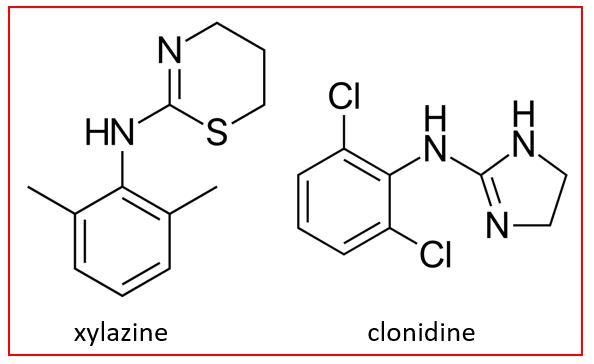 MedTox Fellows: Xylazine, an alpha2 agonist like clonidine, is commonly found in illicit drugs (varies across US). FDA reports associations with skin necrosis at injections sites (tinyurl.com/5yjpbw65), and many claims such as: x.com/treeguypnw/sta…
