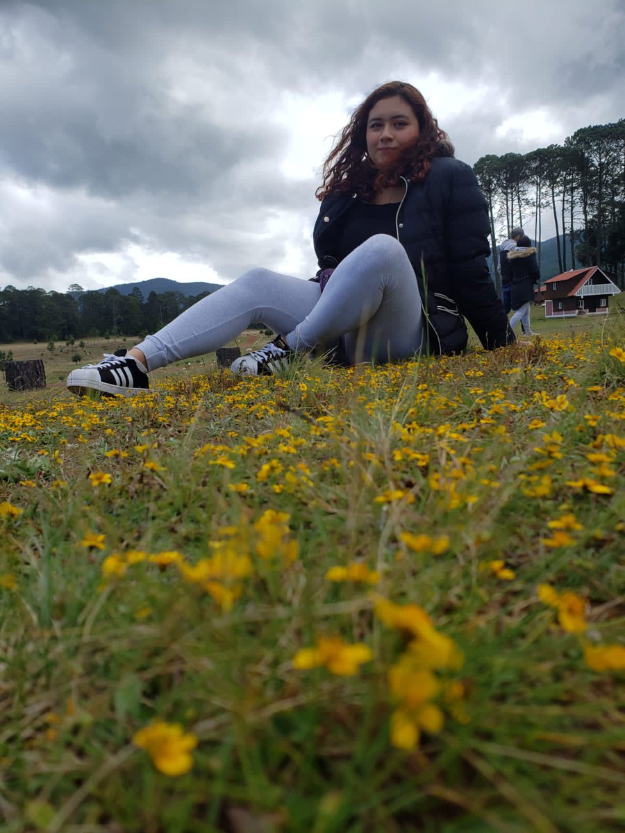 edna_janelly's tweet photo. 💚El mundo necesita más corazones sinceros.💚
#me #fototime #iloveme #green #natural https://t.co/rCqG0W8FHQ