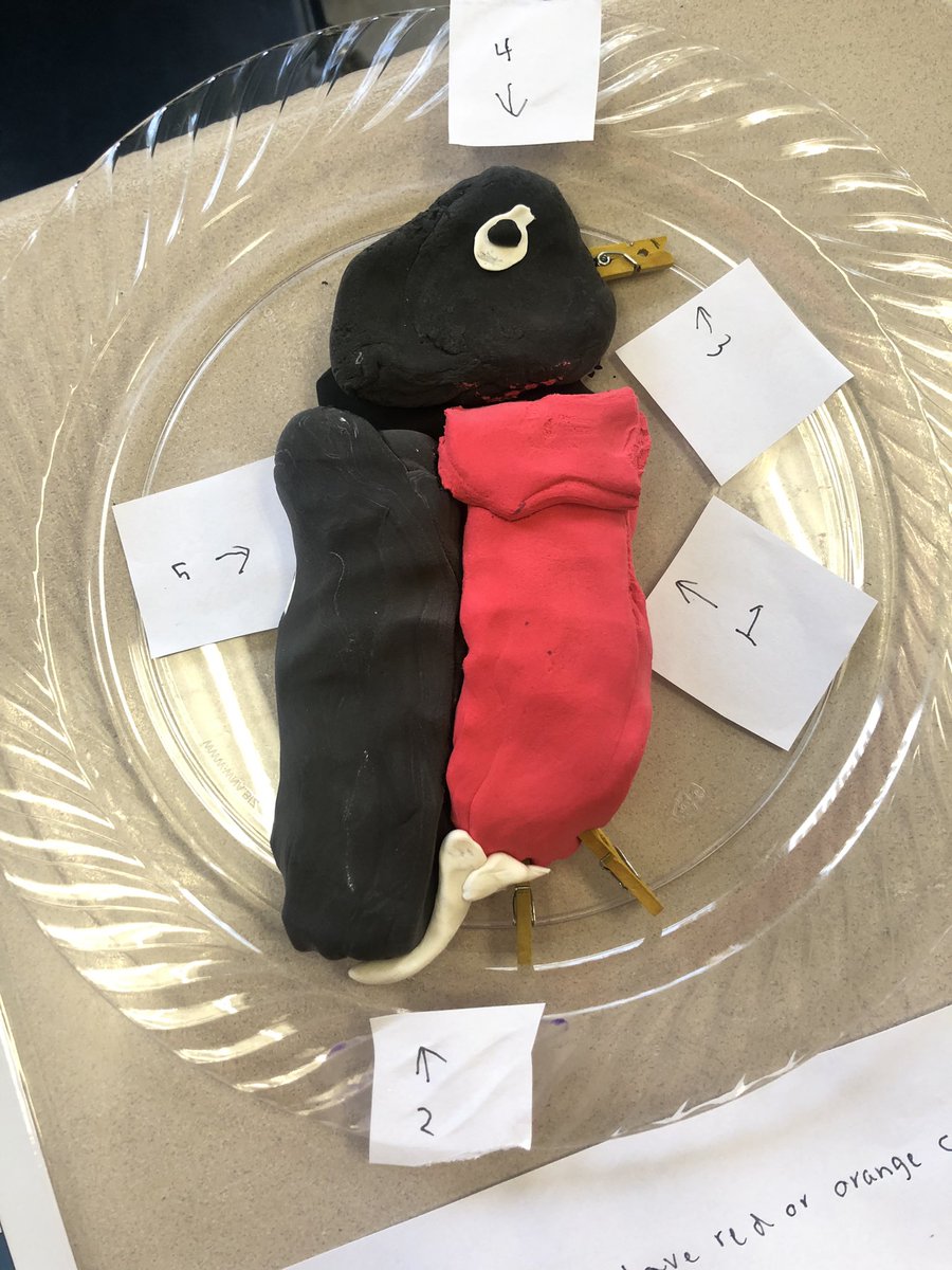 5A_Baker's tweet photo. So many different mediums and so much creativity! https://t.co/BaM5dV33Mm