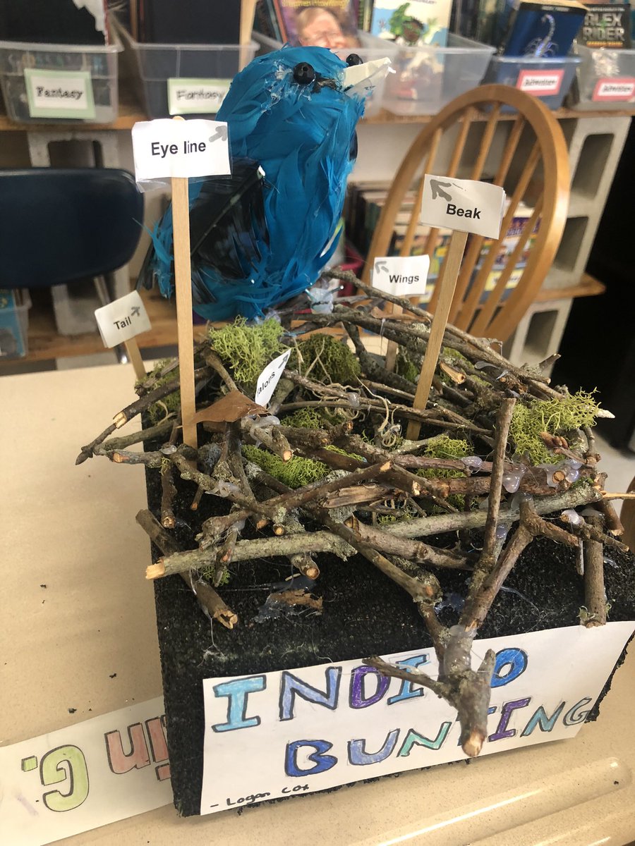 5A_Baker's tweet photo. So many different mediums and so much creativity! https://t.co/BaM5dV33Mm