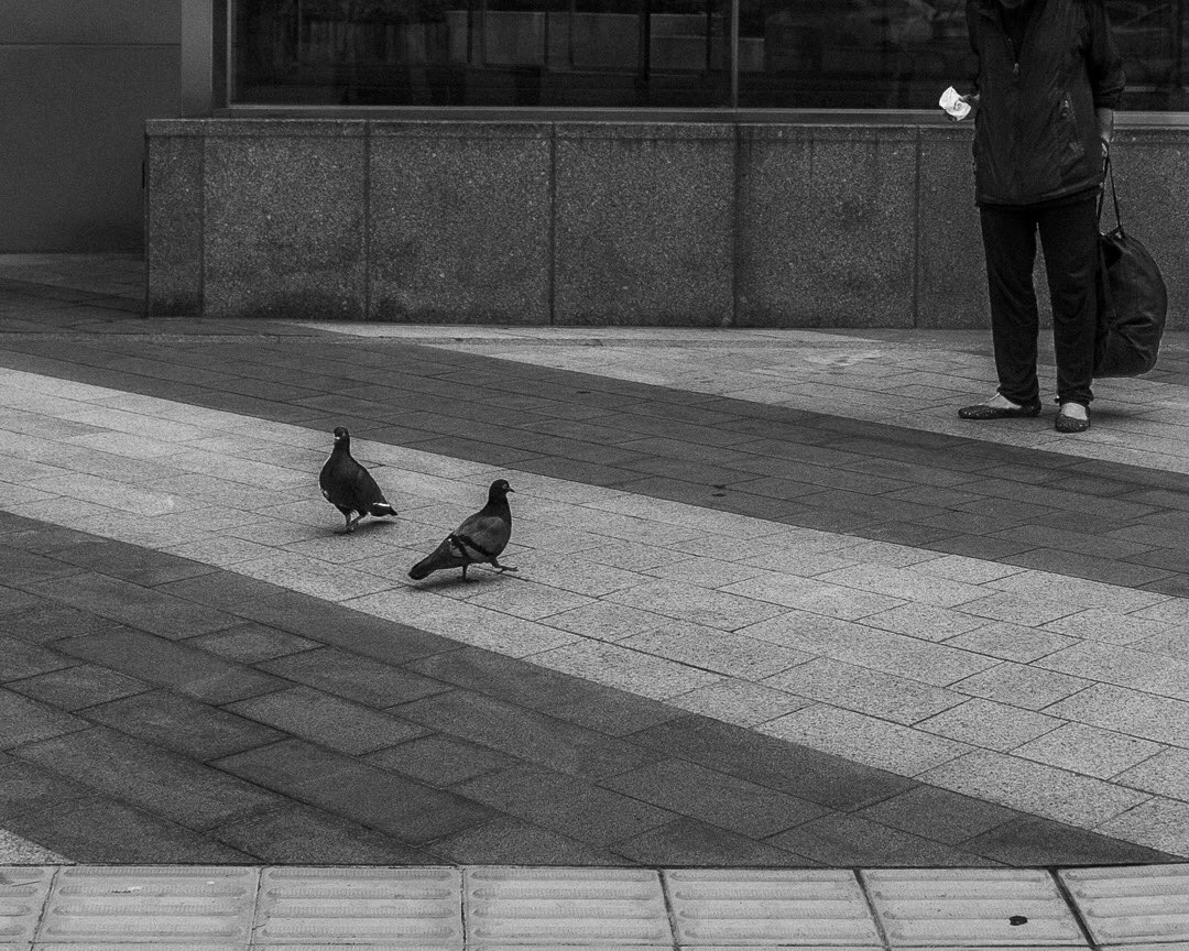 aaaallday_'s tweet photo. That 1-2 combo coming at ya #streetphotography #bnwphotography #thingsinthrees https://t.co/vNbbdW59sa
