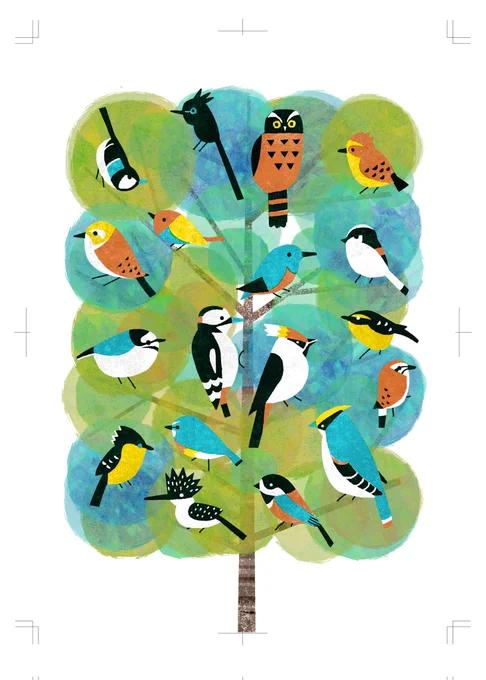 野鳥#野鳥#イラスト#wildbird#Illustrations 