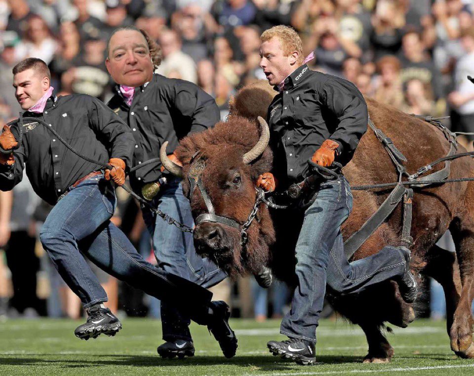 Per sources: Deion Sanders has offered #TeamSmith an opportunity to be his new Defensive Coordinator. Sources say #TeamSmith would consider the position if #Squatch can run with Ralphie

#TeamSmithToBoulder????