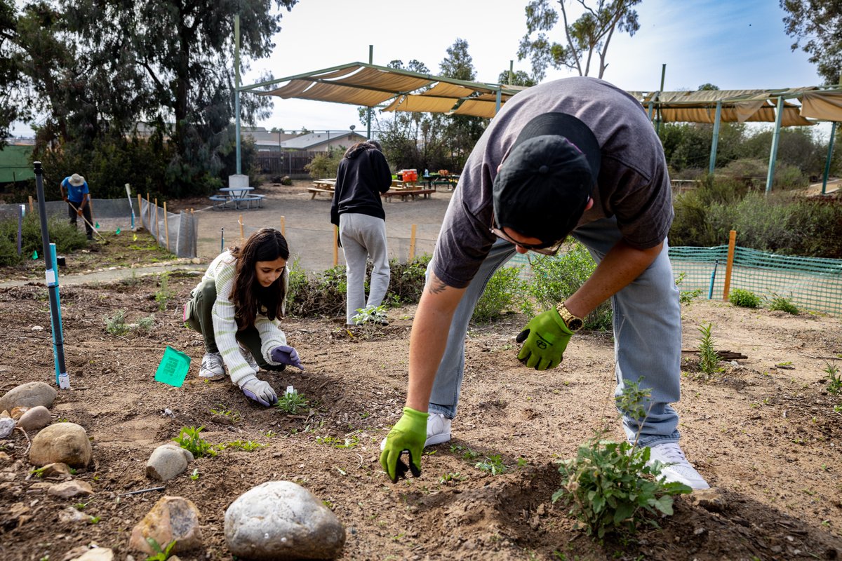 Groundwork San Diego tweet media