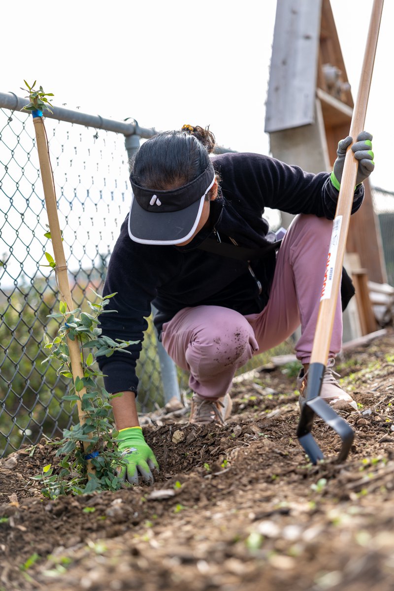 Groundwork San Diego tweet media