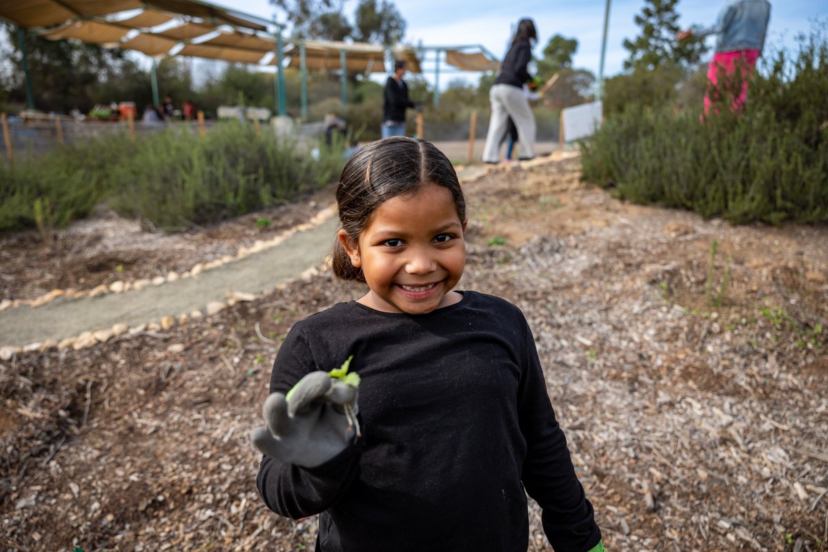 After our Induction Cooking demo on Saturday, <a href="/MTMWolves/">Millennial Tech Middle School</a> families and event attendees joined us @ the EarthLab to weed and detail our newly-minted 
<a href="/PBudBurst/">Budburst</a> Community Pollinator Garden.

#community
#pollinatorgarden
#getoutside