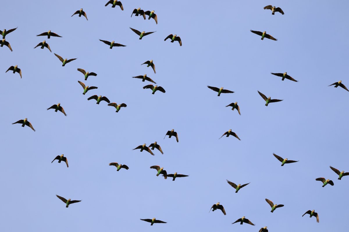 RSG 100-104FM tweet media