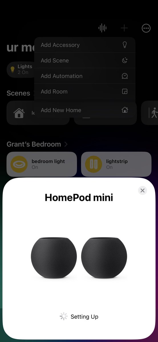 stereo homepod minis are the goat