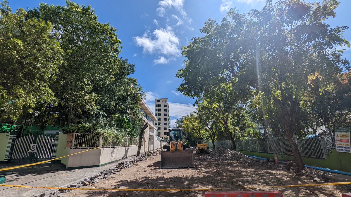Before and After of #MvTreeGrab still ongoing on Ameenee Magu's newest segment. 

Imagine the blistering heat all the kids going to Kalaafaanu will have to endure after this road "development" rips out all the shady mature trees!

#SaveAmeeneeMaguTrees