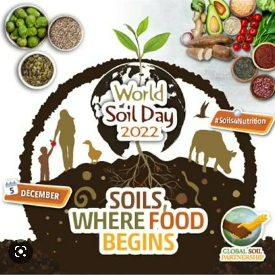 dees_green's tweet photo. World Soil Day 2022 (#WorldSoilDay) and its campaign "Soils: Where food begins" aims to raise awareness of the importance of maintaining healthy ecosystems and human well-being by addressing the growing challenges in soil management and increasing soil awareness. Marking the day https://t.co/RNrzWaJtrs
