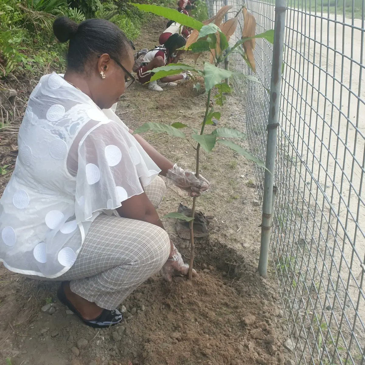 dees_green's tweet photo. World Soil Day 2022 (#WorldSoilDay) and its campaign "Soils: Where food begins" aims to raise awareness of the importance of maintaining healthy ecosystems and human well-being by addressing the growing challenges in soil management and increasing soil awareness. Marking the day https://t.co/RNrzWaJtrs