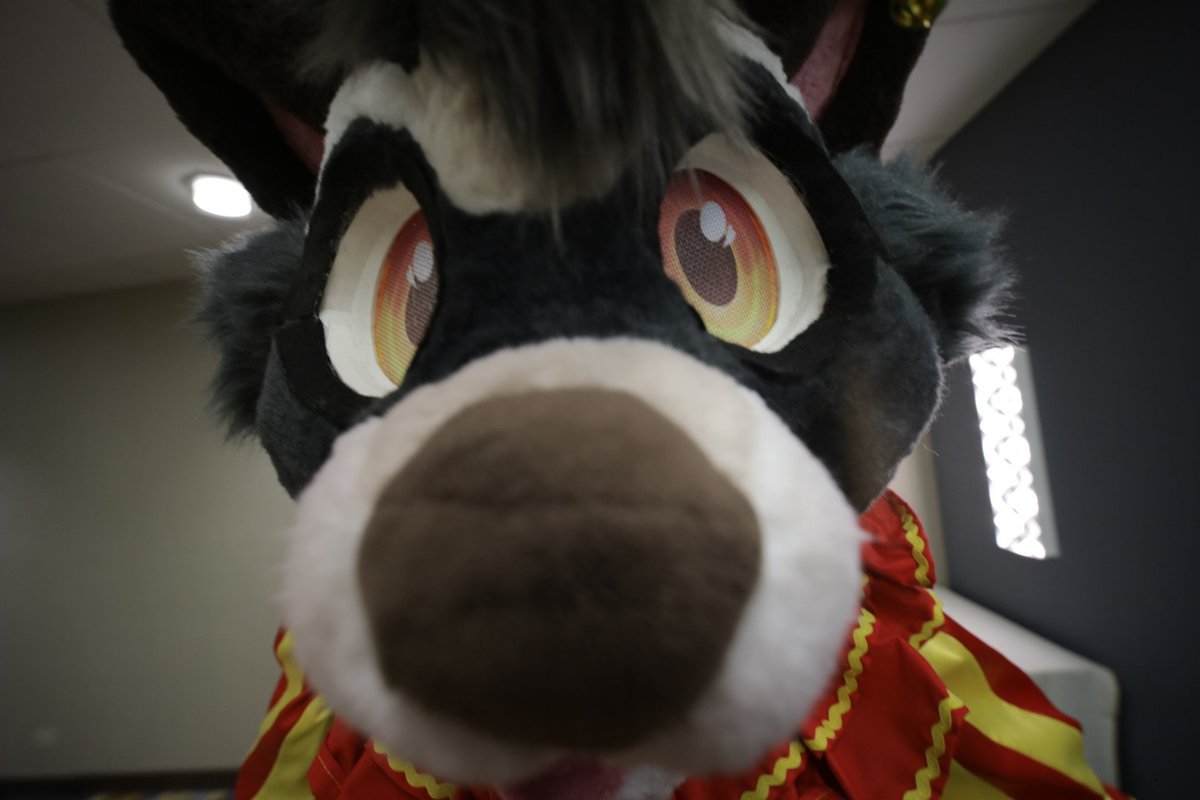 paperumi tweet picture