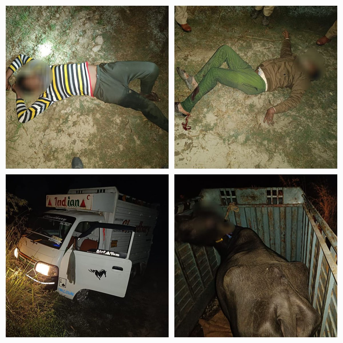 amrohapolice's tweet image. अमरोहा पुलिस को मिली बडी सफलता- 
थाना गजरौला पुलिस द्वारा बाद पुलिस मुठभेड पशु तस्कर/चोर गिरोह के 02 बदमाश गोली लगने से घायल/गिरफ्तार, कब्जे से अवैध असलहे, जिन्दा/खोखा कारतूस, 8000/- रुपयें नगद, छोटा हाथी लोडर गाडी व चोरी की हुई भैंस बरामद ।

#UPPolice 
#CrackdownUPP
#GoodWorkUPP