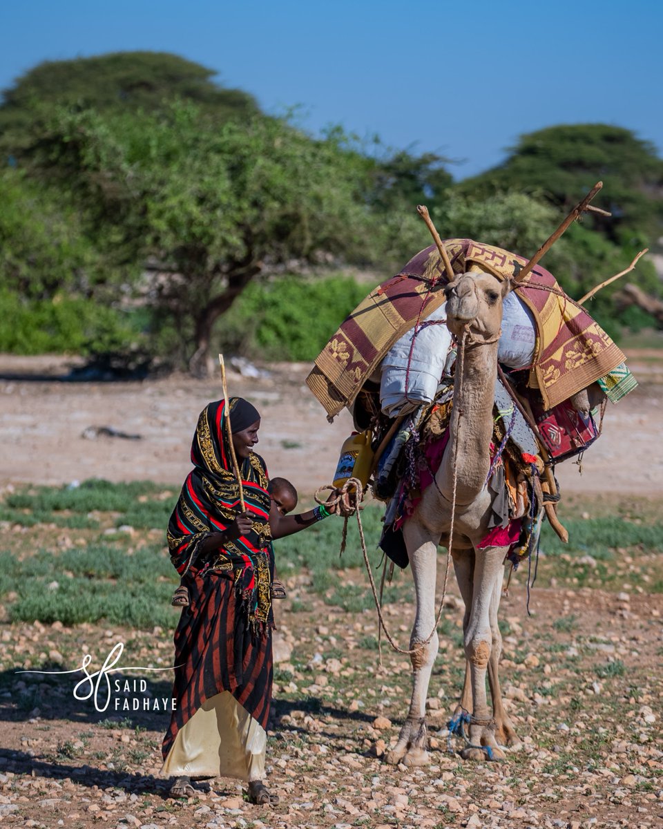 saidfadhaye's tweet photo. The true definition of a #naagnool Gabar Reer-guuraa ah oo Isku filan.
.
.
.
#somalipastoralist #somali #cayna #somaliland #somalibeauty #somaligirls #somaliphotographer https://t.co/Rowxqi8M3K