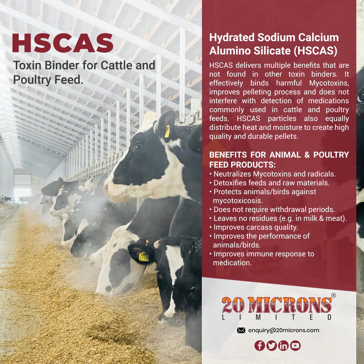 20Microns's tweet image. #HSCAS delivers multiple benefits that are not found in other toxin binders. It effectively binds harmful Mycotoxins, improves pelleting process &amp;amp; does not interfere with detection of medications commonly used in cattle &amp;amp; poultry feeds. Visit: 20microns.com/products
#cattlefeeds