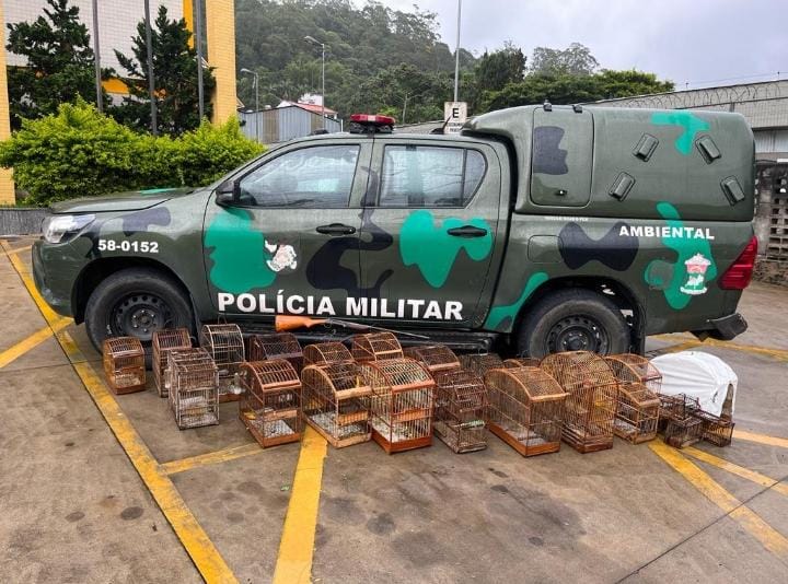 NotciasRio1's tweet photo. Policiais da #5UPAm apreenderam 30 pássaros da fauna silvestre e uma espingarda, em São Pedro da Serra - #NovaFriburgo. Ocorrência foi encaminhada à 151ª delegacia da @PCERJ
. https://t.co/UbcdEpqBaL