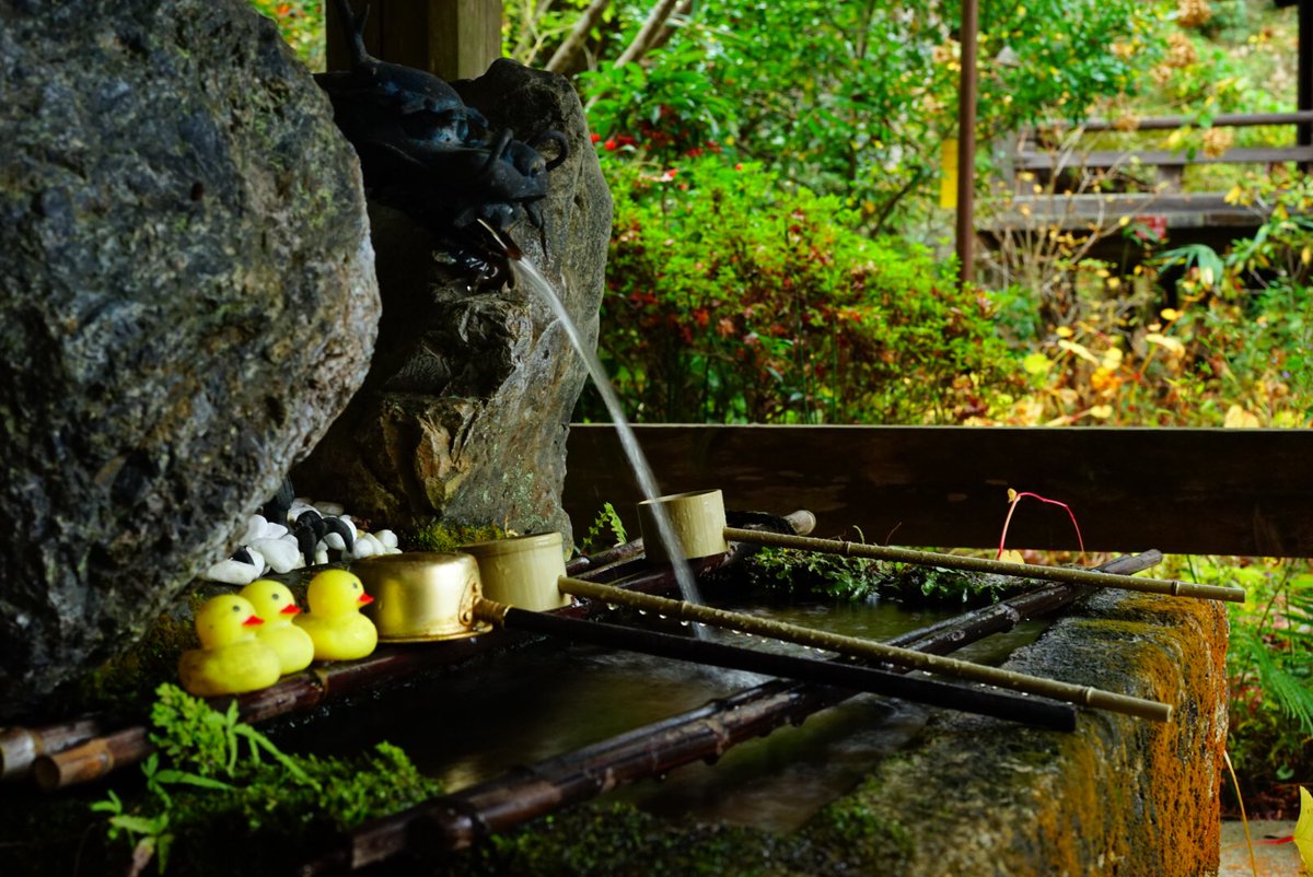 hikabuun_tennen's tweet photo. 最近のお寺は映えが凄い🍁

#長寿寺 https://t.co/Z4Z1gzITGb