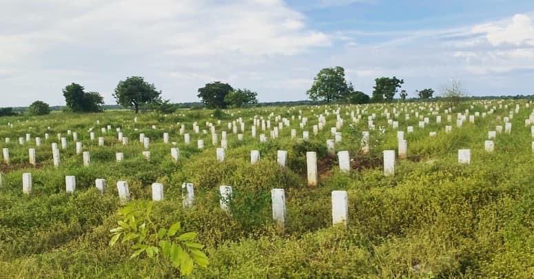 NMASriLanka's tweet photo. Work on the installation of a protective electric fence at the #COVID19 burial ground at Majma Nagar Ottamavaadi in Batticaloa commenced on 4/12/22. The NMA was represented by Vice Chair Mr. Afzal Marikar, Members Mr. Aman Ashraff and Mr. Suhail Jamaldeen.

#NMA #SriLanka #lka https://t.co/nKrR0ZN9vV