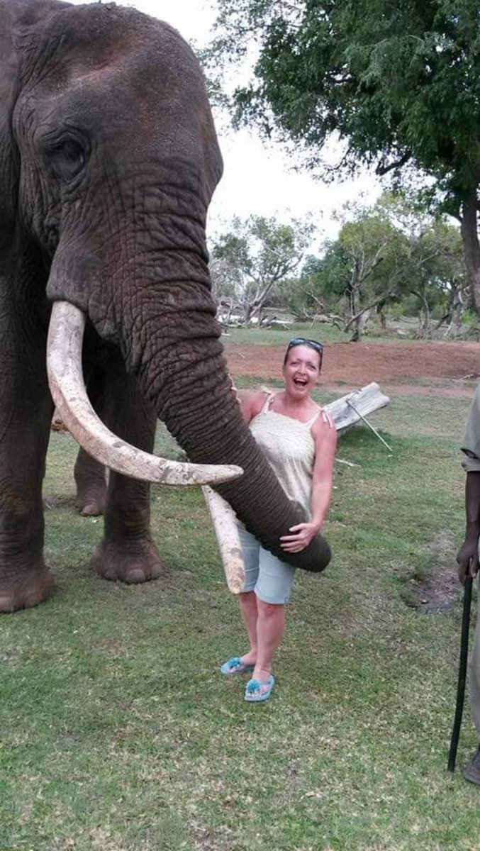 ladydebidebz1's tweet photo. 2nd-best day of my life - after bringing my Scruffy-fluffies home in 2011 - was meeting the majestic and oh-so-handsome Danny in Zambia...
Charmer that he was, when I told him he was so gorgeous... He looked at me with his beautiful brown eyes... & hugged me!
#SpecialThrowback https://t.co/kkr0WSc6Es