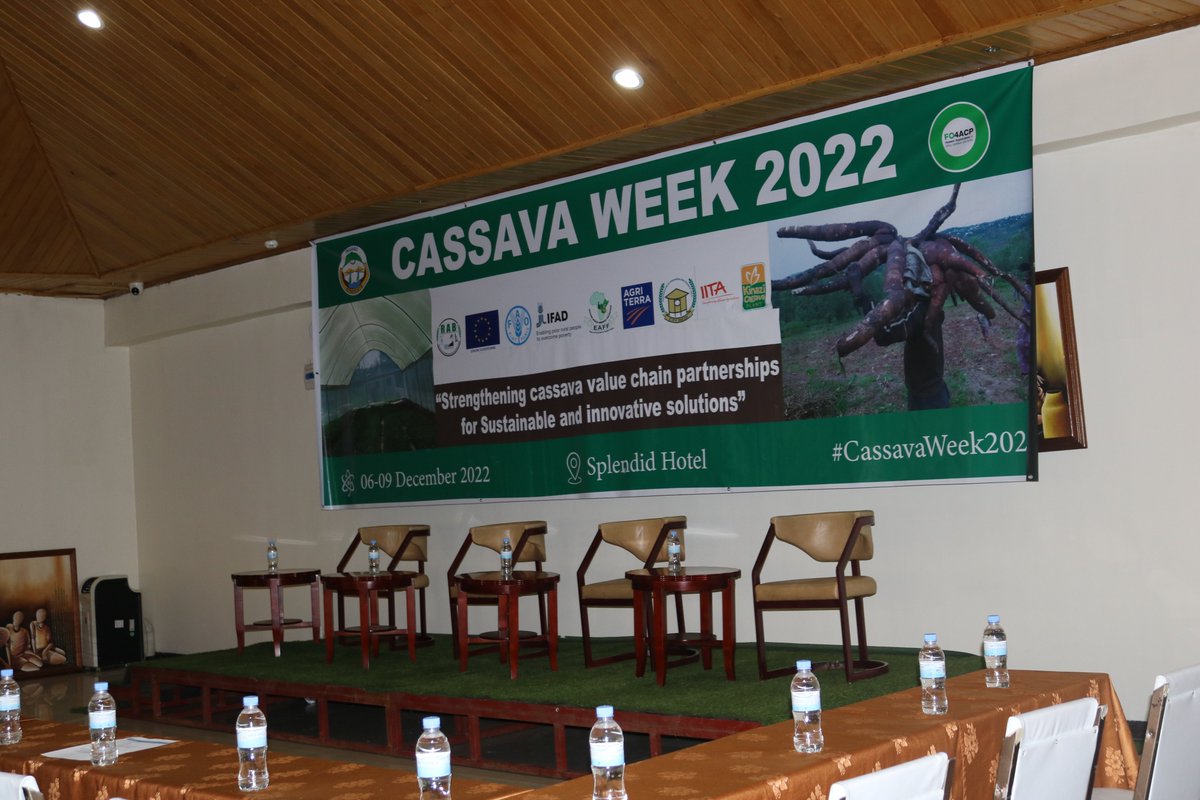 INGABOSYNDICAT1's tweet photo. Finally the wait is over, and all set for today's #cassavaweek2022 event
@RwandaAgriBoard @RwandaAgri @UN @EAFFinfo
@AgriterraRwanda https://t.co/ZyzD00aFj2