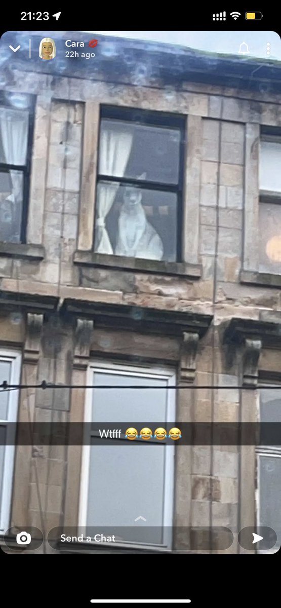 As if Cara spotted a Kangaroo in glasgow 🤣😭